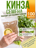 Семена кинзы (кориандра) 100 г для посева осенью и весной