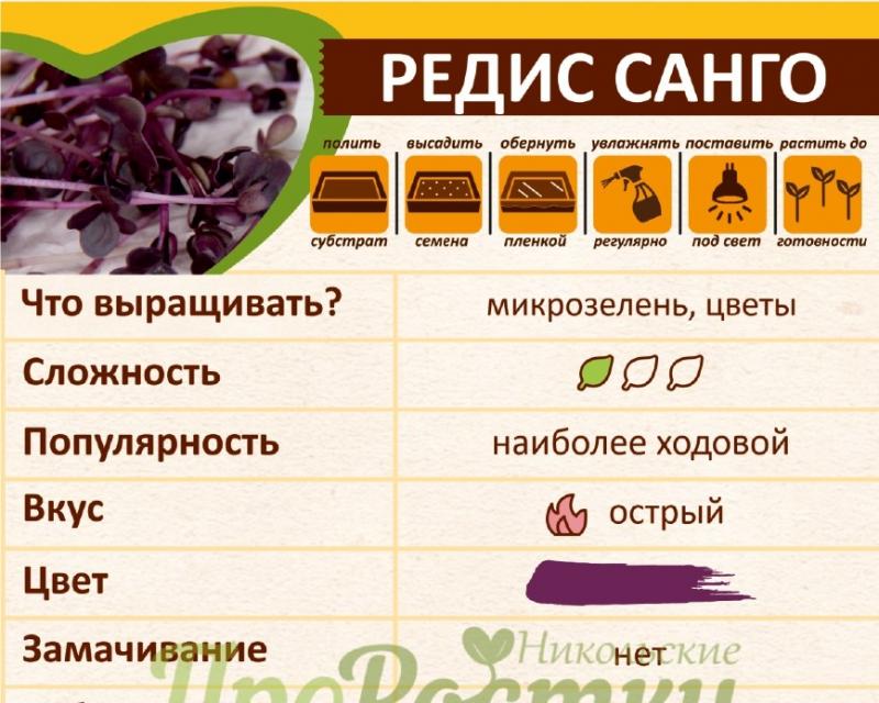 Как вырастить микрозелень редиса Санго