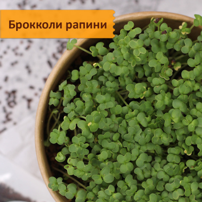 Набор "Фабрика микрозелени 50 урожаев"