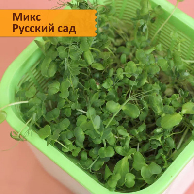 Набор для выращивания "Салатные смеси микрозелени"