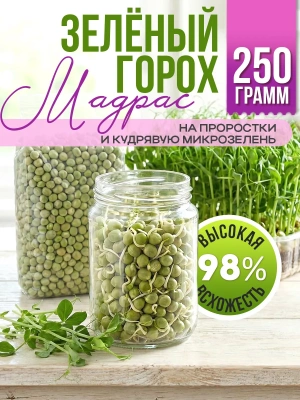 Горох зеленый Мадрас на усатую микрозелень, 250 гр.