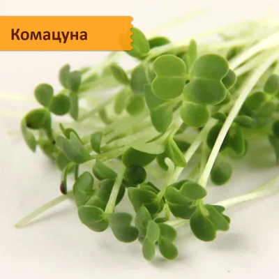 Набор для выращивания "Азиатская микрозелень"