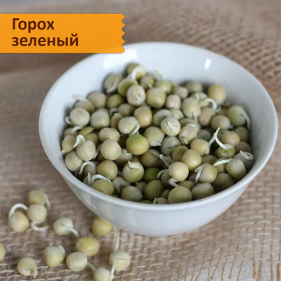 Набор "Самые вкусные семена для проращивания"