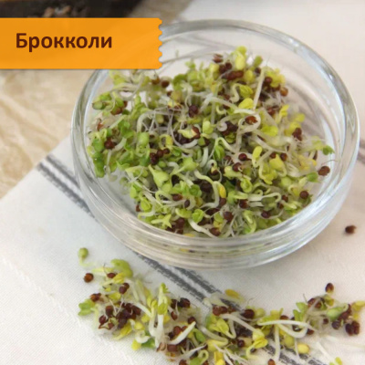Набор семян микрозелени с сульфорафаном "Профилактика рака"