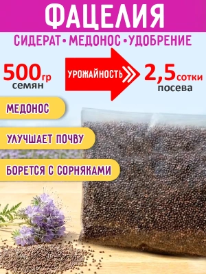 Семена фацелия (сидерат, медонос), 500 гр.